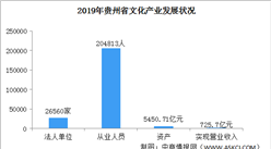 常用路由器材质塑料与互动策略评估，技术细节与市场趋势分析 V55.66.85，时代资料解释落实_静态版6.21